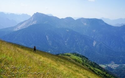 Montagne verdi