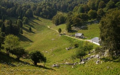 Il rovescio della montagna